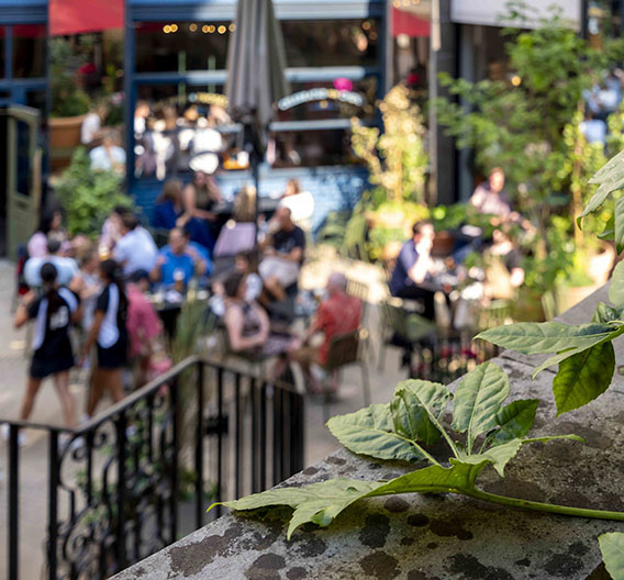 Bradmore Square grid of images 7