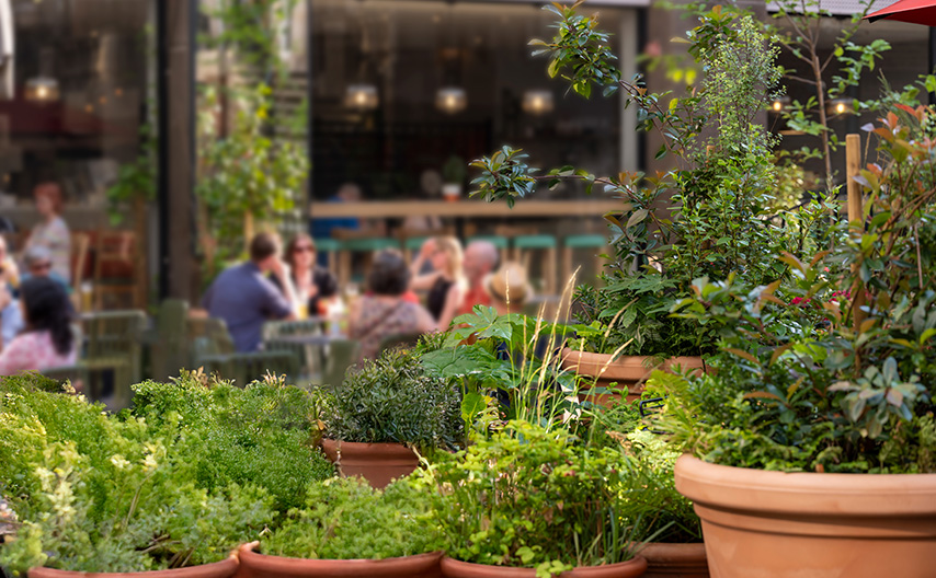 Bradmore Square grid of images 14