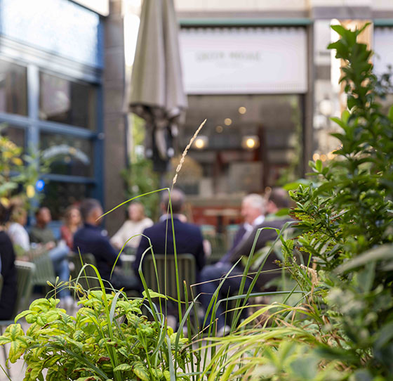 Bradmore Square grid of images 11